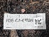  ( - FDS-CA-07820)  @11 [ ] by-nc (2024) Damon Tighe Fungal Diversity Survey