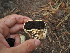  ( - FDS-CA-05977)  @11 [ ] by-nc (2024) Fresno Mycology Society Fungal Diversity Survey