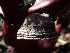  ( - FDS-CA-07684)  @11 [ ] by-nc (2024) Sadie Hickey Fungal Diversity Survey