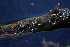 ( - FDS-CA-05462)  @11 [ ] by-nc (2024) Unspecified Fungal Diversity Survey