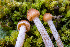  ( - FDS-CA-05862)  @11 [ ] by-nc (2024) Dean Lyons Fungal Diversity Survey