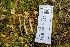  ( - FDS-CA-06590)  @11 [ ] by-nc (2024) Taye Bright Fungal Diversity Survey