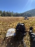  ( - FDS-CA-05866)  @11 [ ] by-nc (2024) Dean Lyons Fungal Diversity Survey
