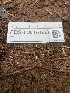  ( - FDS-CA-07533)  @11 [ ] c (2024) Marinna Grijalva Fungal Diversity Survey