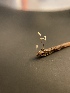  ( - FDS-CA-07533)  @11 [ ] c (2024) Marinna Grijalva Fungal Diversity Survey