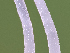  ( - FDS-CA-06646)  @11 [ ] by (2024) Justin Paulin Fungal Diversity Survey