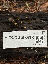  ( - FDS-CA-06518)  @11 [ ] by-nc (2024) Taye Bright Fungal Diversity Survey