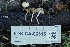  ( - FDS-CA-06515)  @11 [ ] by-nc (2024) Taye Bright Fungal Diversity Survey