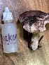  ( - FDS-CA-08117)  @11 [ ] by-nc (2024) Damon Tighe Fungal Diversity Survey