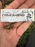  ( - FDS-CA-06543)  @11 [ ] by-nc (2024) Taye Bright Fungal Diversity Survey