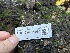  ( - FDS-CA-08147)  @11 [ ] by-nc (2024) Damon Tighe Fungal Diversity Survey