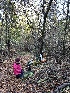  ( - FDS-CA-06538)  @11 [ ] by-nc (2024) Taye Bright Fungal Diversity Survey