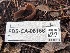  ( - FDS-CA-08166)  @11 [ ] by-nc (2025) Damon Tighe Fungal Diversity Survey