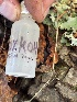  ( - FDS-CA-08179)  @11 [ ] by-nc (2025) Damon Tighe Fungal Diversity Survey