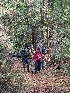  ( - FDS-CA-06308)  @11 [ ] by-nc (2024) Warren Cardimona Fungal Diversity Survey