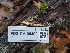  ( - FDS-CA-06309)  @11 [ ] by-nc (2024) Warren Cardimona Fungal Diversity Survey