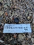  ( - FDS-CA-07150)  @11 [ ] by (2025) Mandy Hackney Fungal Diversity Survey