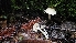  (Hydnum sp. PNW02 - FDS-CA-00431)  @11 [ ] by-nc (2024) Thea Chesney Fungal Diversity Survey