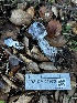  ( - FDS-CA-01973)  @11 [ ] by-nc (2024) Aaron Tupac Fungal Diversity Survey