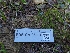  ( - FDS-CA-06364)  @11 [ ] by-nc (2025) Warren Cardimona Fungal Diversity Survey