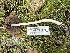  ( - FDS-CA-04319)  @11 [ ] by-nc (2024) Aaron Tupac Fungal Diversity Survey