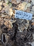  ( - HAY-F-001996)  @11 [ ] Unspecified (default): All Rights Reserved (2023) Stu Pickell FunDiS