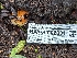  ( - HAY-F-002031)  @11 [ ] Unspecified (default): All Rights Reserved (2023) Stu Pickell FunDiS