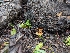  ( - HAY-F-002031)  @11 [ ] Unspecified (default): All Rights Reserved (2023) Stu Pickell FunDiS