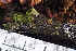  ( - HAY-F-000865)  @11 [ ] cc-by-nc (2023) Warren Cardimona FunDiS