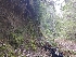  ( - HAY-F-000875)  @11 [ ] cc-by-nc (2023) Warren Cardimona FunDiS