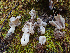  ( - HAY-F-003105)  @11 [ ] cc-by-nc (2023) Dean Lyons FunDiS
