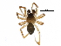  ( - BIOUG19075-D09)  @14 [ ] CreativeCommons - Attribution (2016) CBG Photography Group Centre for Biodiversity Genomics
