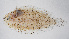  ( - FUT-047)  @11 [ ] CreativeCommons  Attribution Non-Commercial (by-nc) (2016) Unspecified Smithsonian Institution National Museum of Natural History