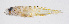  ( - FUT-074)  @11 [ ] CreativeCommons  Attribution Non-Commercial (by-nc) (2016) Unspecified Smithsonian Institution National Museum of Natural History