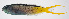  ( - FUT-079)  @11 [ ] CreativeCommons  Attribution Non-Commercial (by-nc) (2016) Unspecified Smithsonian Institution National Museum of Natural History