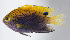  ( - FUT-081)  @11 [ ] CreativeCommons  Attribution Non-Commercial (by-nc) (2016) Unspecified Smithsonian Institution National Museum of Natural History