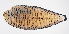  ( - FUT-330)  @11 [ ] CreativeCommons  Attribution Non-Commercial (by-nc) (2016) Unspecified Smithsonian Institution National Museum of Natural History