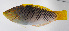  ( - FUT-342)  @11 [ ] CreativeCommons  Attribution Non-Commercial (by-nc) (2016) Unspecified Smithsonian Institution National Museum of Natural History