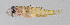  ( - FUT-355)  @11 [ ] CreativeCommons  Attribution Non-Commercial (by-nc) (2016) Unspecified Smithsonian Institution National Museum of Natural History