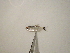  ( - ES12-AT060)  @13 [ ] CreativeCommons - Attribution Non-Commercial Share-Alike (2012) SAIAB SAIAB