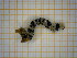  ( - SIHOL893)  @11 [ ] nrr  Unspecified Unspecified
