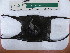  ( - CEGAR 261)  @11 [ ] Unspecified (default): All Rights Reserved  Unspecified Unspecified