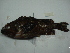  ( - CNPICT 2012 19.2)  @11 [ ] Unspecified (default): All Rights Reserved  Unspecified Unspecified