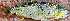  ( - EVA-G1)  @11 [ ] Unspecified (default): All Rights Reserved  Unspecified Unspecified