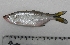  ( - UNMDP-T 1283)  @11 [ ] Unspecified (default): All Rights Reserved  Unspecified Unspecified