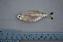 ( - UNMDP-T 1760)  @13 [ ] Unspecified (default): All Rights Reserved  Unspecified Unspecified
