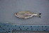  ( - UNMDP-T 1767)  @12 [ ] Unspecified (default): All Rights Reserved  Unspecified Unspecified