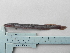  ( - UNMDP-T 2001)  @11 [ ] Unspecified (default): All Rights Reserved  Unspecified Unspecified