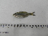  ( - UNMDP-T 2656)  @12 [ ] Unspecified (default): All Rights Reserved  Unspecified Unspecified