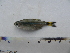  ( - UNMDP-T 2706)  @13 [ ] Unspecified (default): All Rights Reserved  Unspecified Unspecified